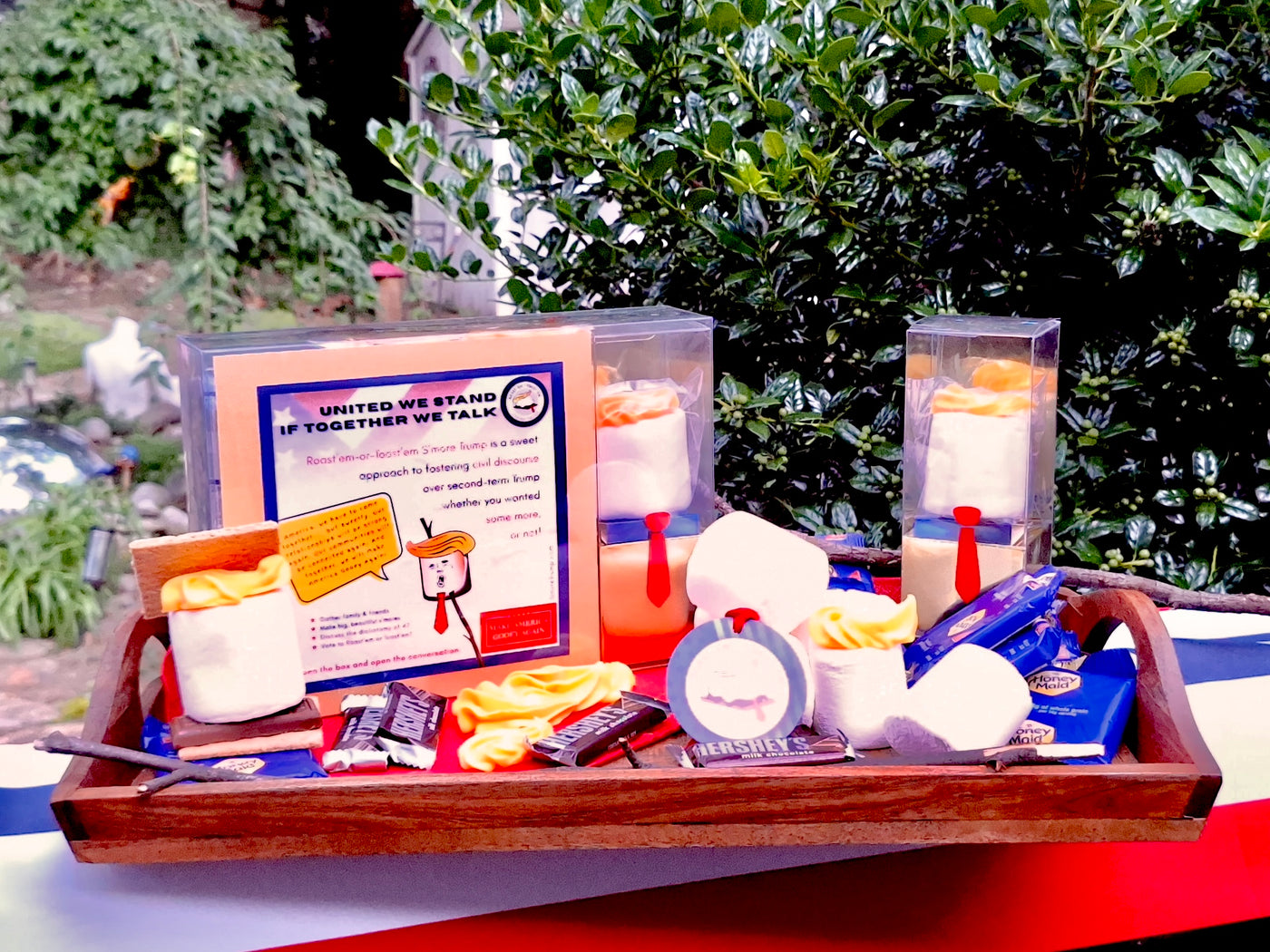 b.   The Political Party Pack for 8